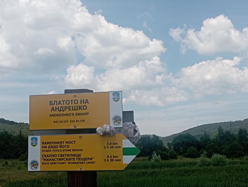 Bailovo_24.jpg.3b89557ddb56b1a2e08dc3d68e098422.jpg