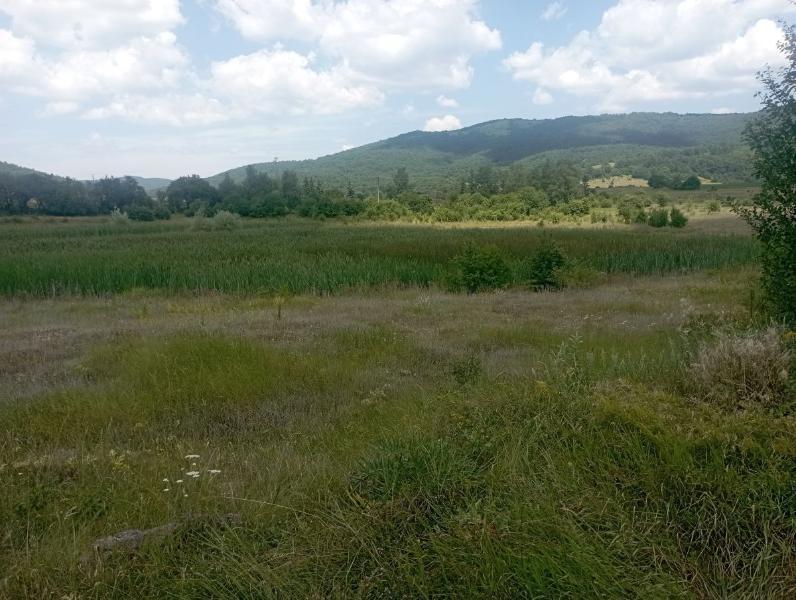Bailovo_26.jpg.8659b47c114d68595b24d6c3a33cad8f.jpg