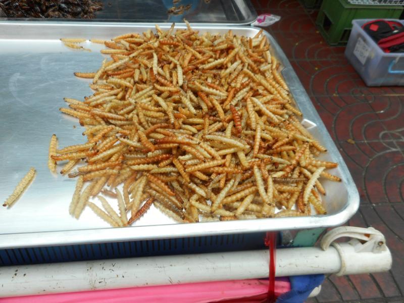 Bangkok_6_2.JPG.c3d769fd33800896070f708b7b3894be.JPG
