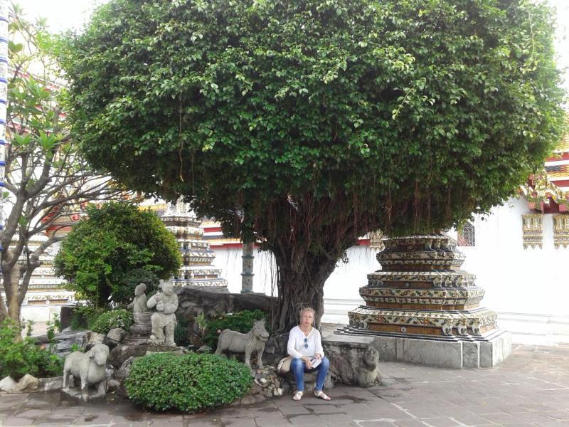 Bangkok_87.jpg.de9b5bf619a639f5d5d72ed4578a59a7.jpg
