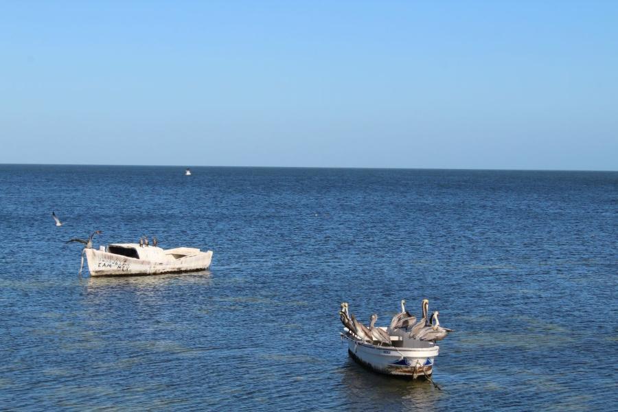 Campeche_58.JPG.664305db5a33db0f2db8708c7d0f73e7.JPG