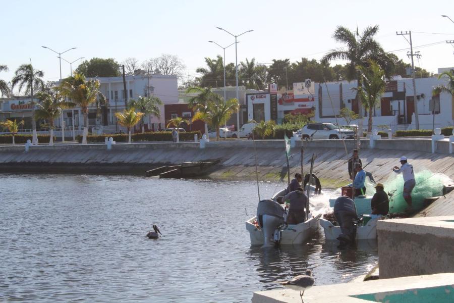 Campeche_61.JPG.cdf27f6b51a1b9e5367b11fa5c6b7bd6.JPG