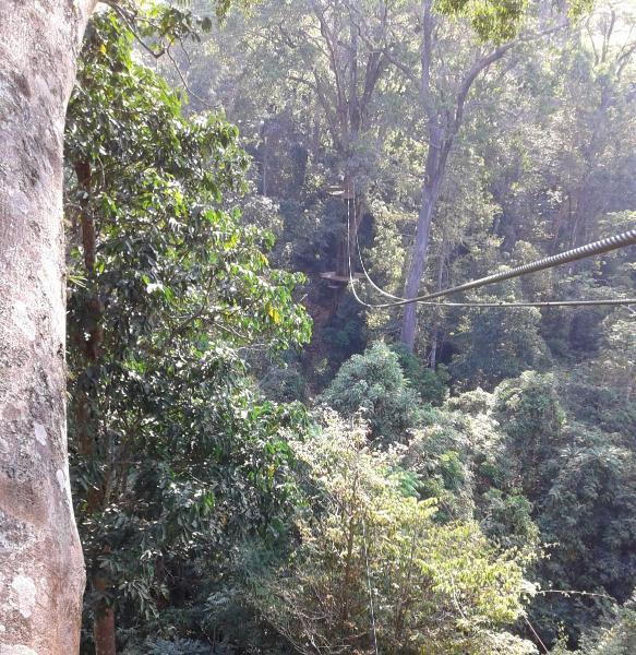 ChiangMai_105.jpg.35189e43de6f343ccde51ba3a881e036.jpg