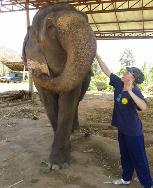ChiangMai_11.jpg.ea92b52a8a0bea4546b900e6f8ea9ba3.jpg