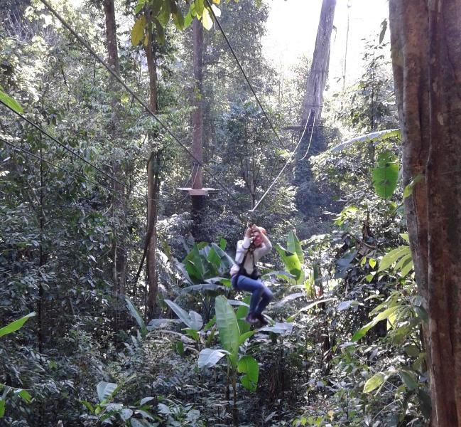 ChiangMai_111.jpg.b208d2497ff941e789759c1a27d13e18.jpg