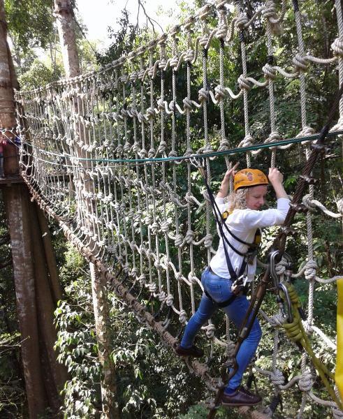 ChiangMai_126.jpg.c0930fe307a39725f14132c56c9716de.jpg