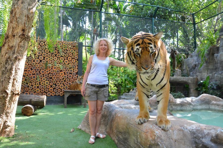ChiangMai_148.JPG.32d9631f1480089264a33c1493d8efa7.JPG
