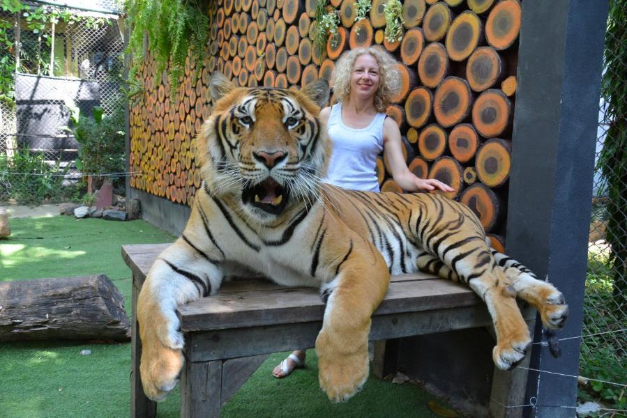 ChiangMai_150.JPG.b40d118a3f9495d3a9808c0b4919907f.JPG