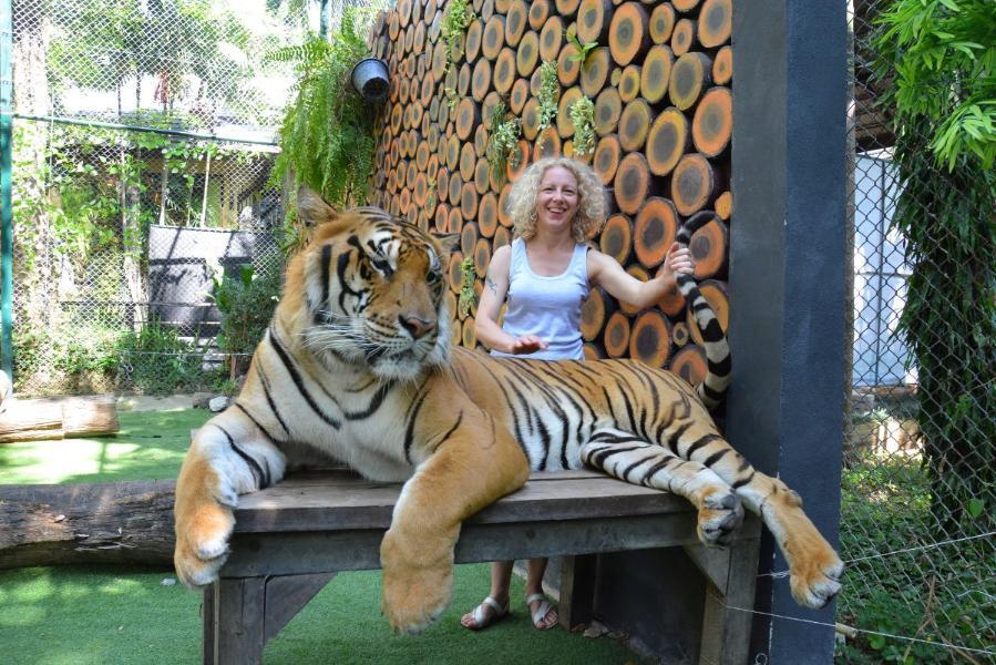 ChiangMai_153.JPG.1d43a45369675ba0924fd46c7332ceb0.JPG