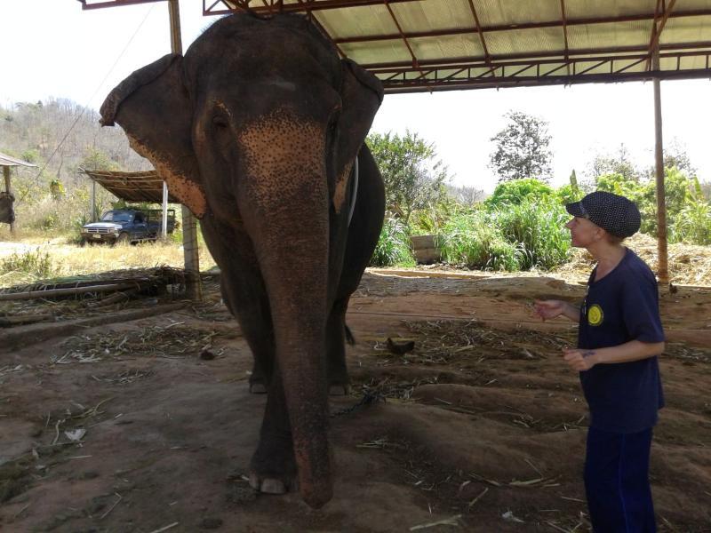 ChiangMai_3.jpg.e927b69a93084e36716d900aae75120b.jpg