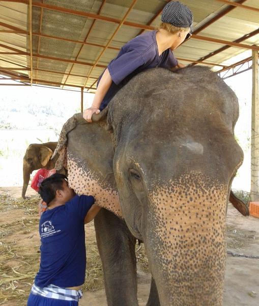 ChiangMai_30.jpg.7297a0ce0cdcba0ff1e637327a7f89d7.jpg