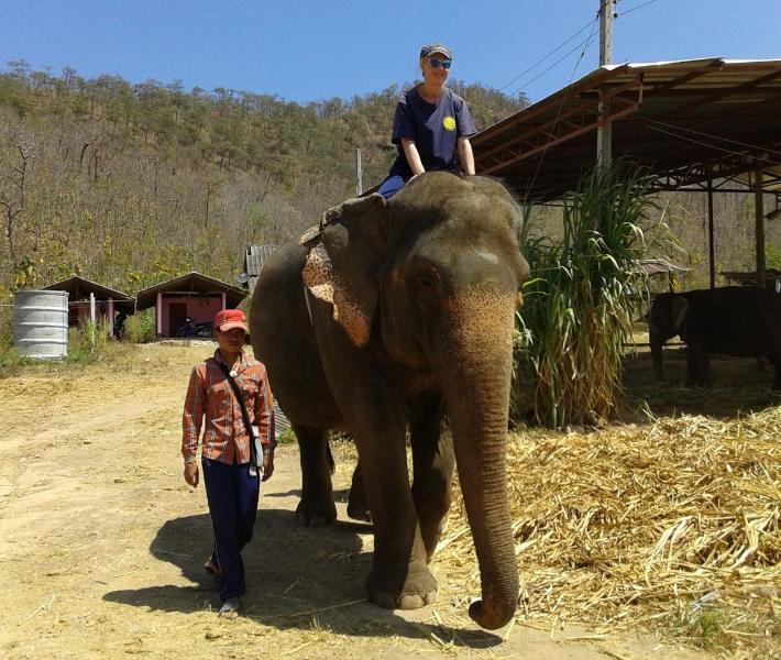 ChiangMai_39.jpg.a2dc534649c31e5446207d277239c064.jpg