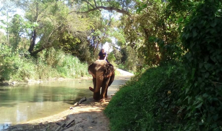 ChiangMai_77.jpg.76f07a9456c0f69e985c1fdec607807f.jpg