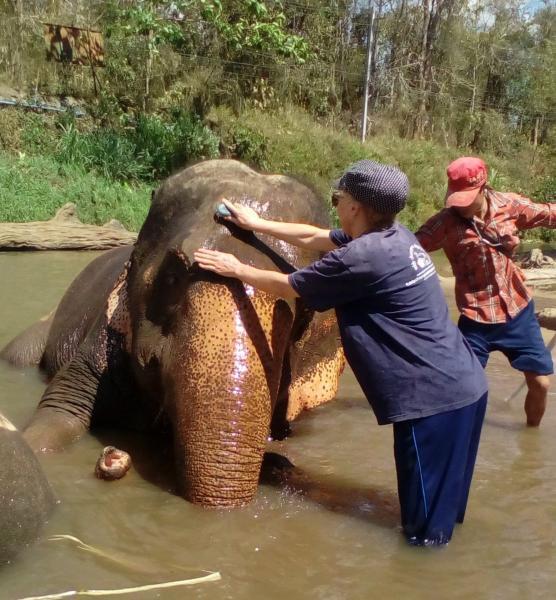 ChiangMai_79.jpg.cce872114aa2737860d908838c6aef00.jpg