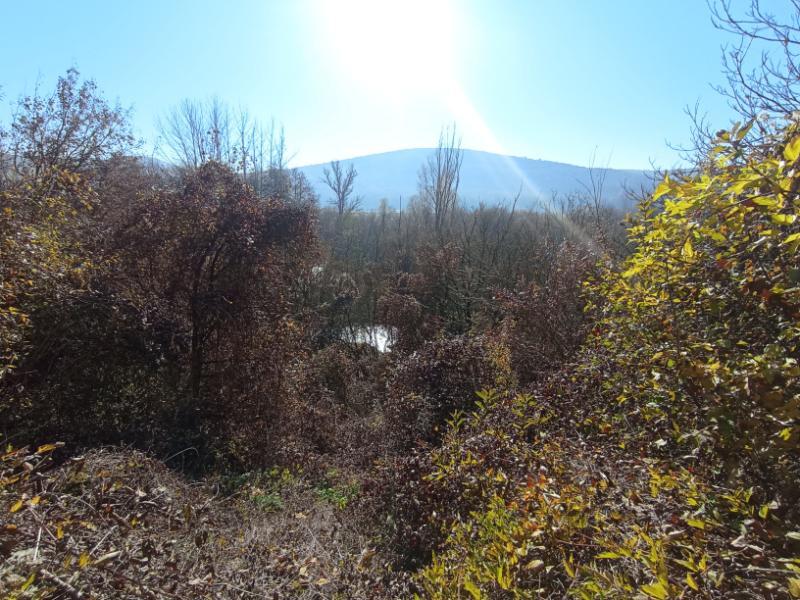 Govedarnika_83.jpg.042beb3b1faafb8bfd70292781f07893.jpg