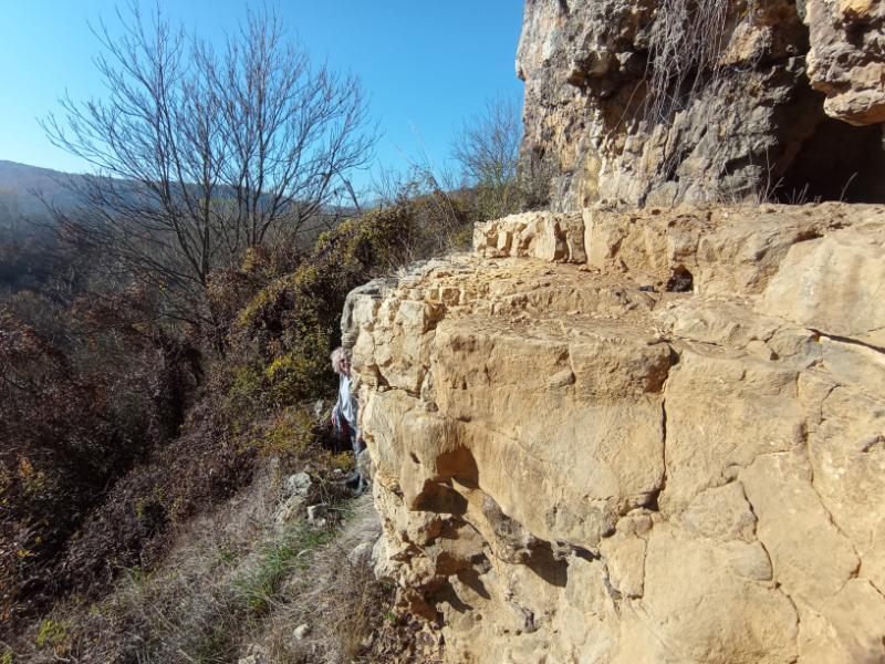 Govedarnika_91.jpg.7007cf245269d48329003b8fcfef737b.jpg