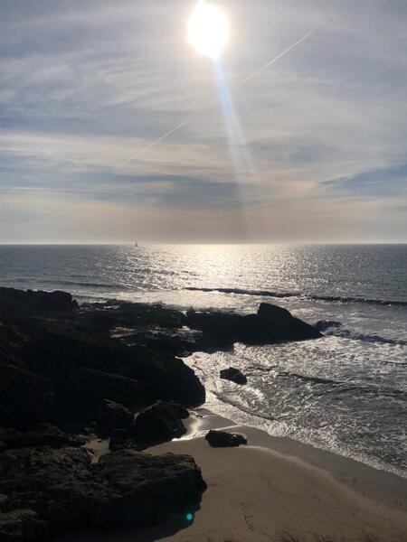 IMG_1697.jpeg.8cb3446bcf488432c02648e5d2750cf9.jpeg