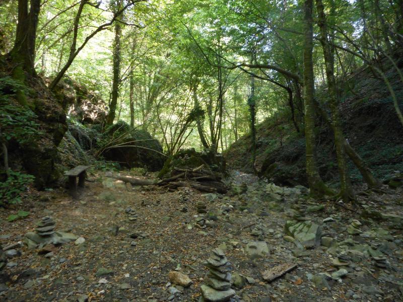 IndiPasha_3.JPG.e9737ef77733cee8461f4ca9a9386337.JPG