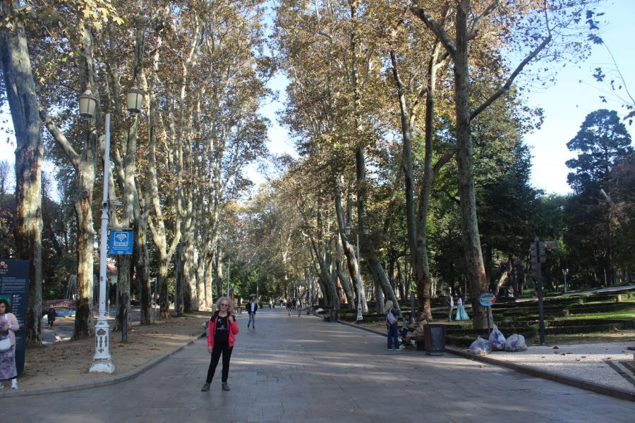 Istanbul_121.JPG.38a9881573f44b4bcb6bfa0c9c8fa006.JPG