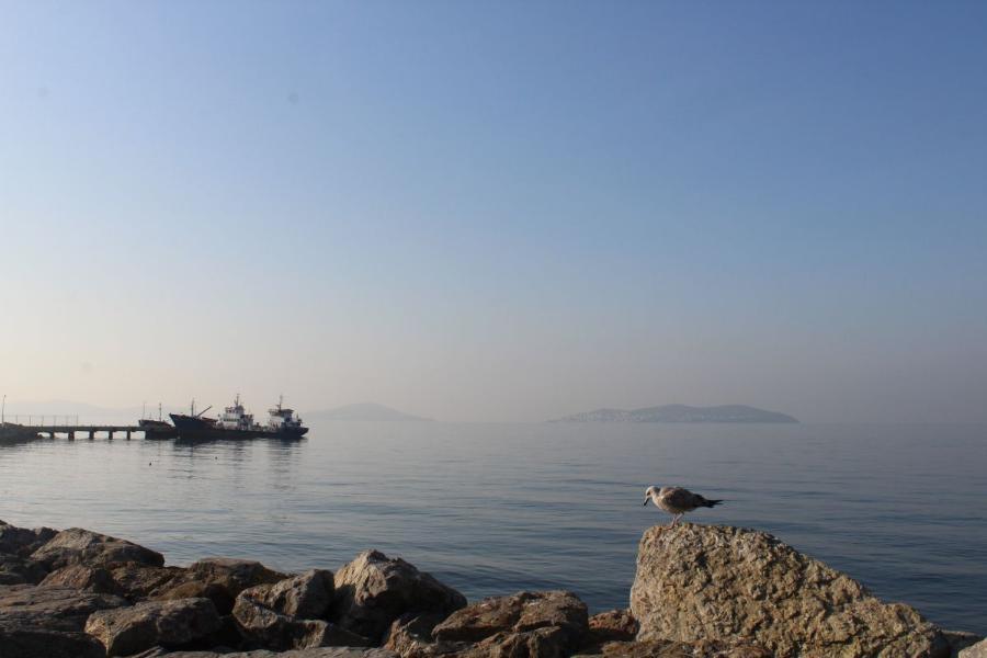 Istanbul_216.JPG.6c7ef51768ae792d990a7fbce9b55adf.JPG