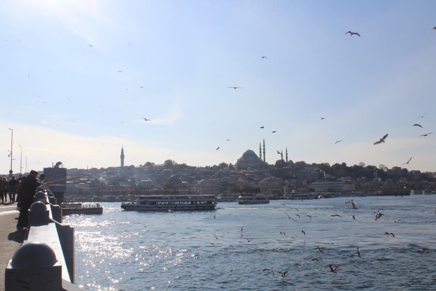 Istanbul_219.JPG.5f93d307c2e56e7dc43a6f09dcd57cb2.JPG