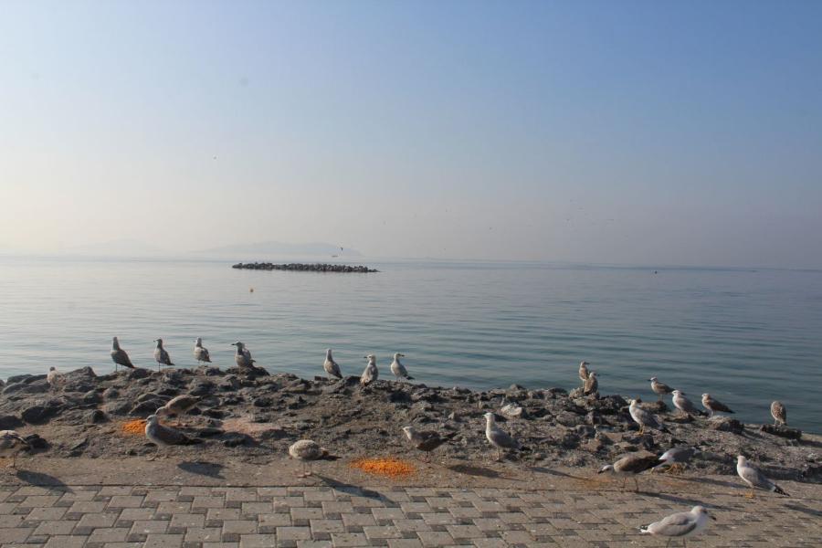 Istanbul_229.JPG.d451b6208e6092b482a6517e604c6c5b.JPG