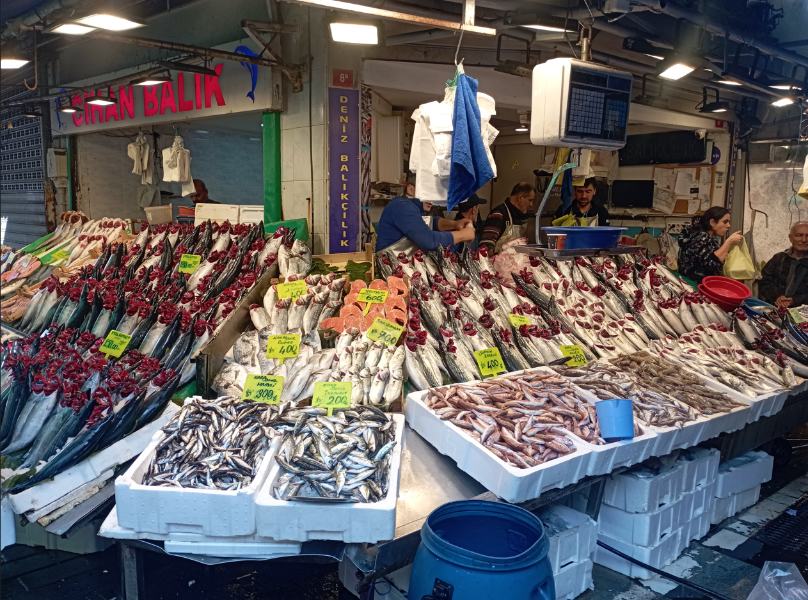 Istanbul_236.png.45535d8b817fbfe4c7aea0ba744887f2.png