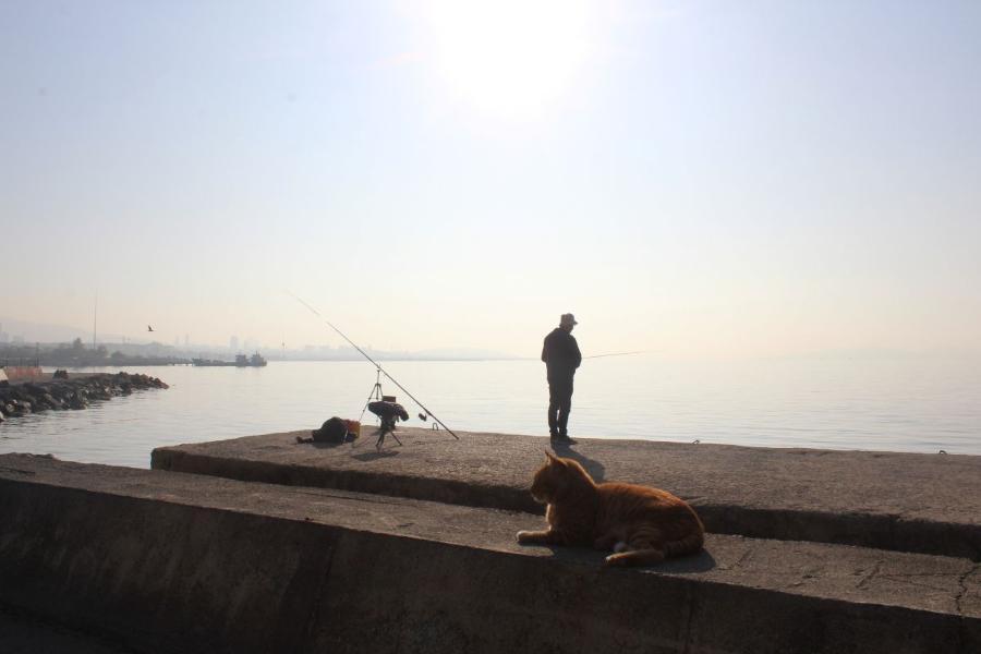 Istanbul_271.JPG.5917b945293e5c44877380c6fb2eb7bf.JPG