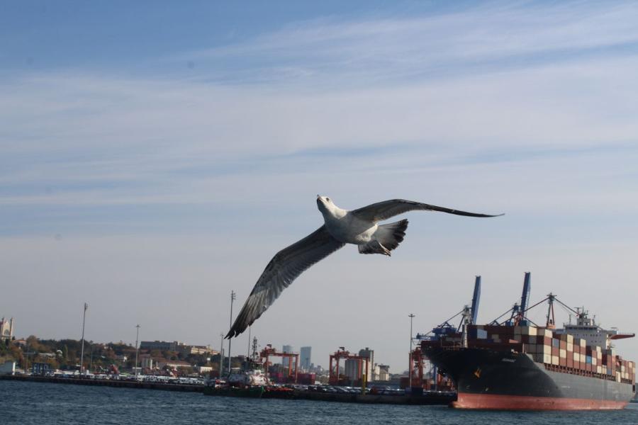 Istanbul_293.JPG.06e442e6bd5fc16738301f77a0df395b.JPG
