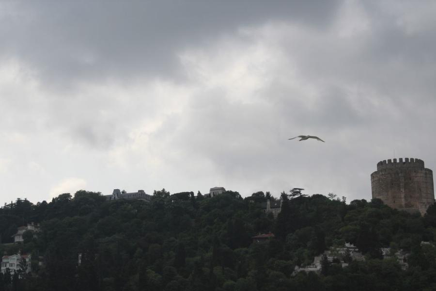 Istanbul_78.JPG.f3882e16ce41ed058ce086aaa2187947.JPG