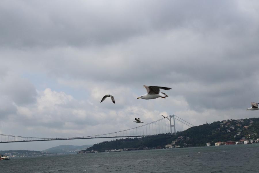 Istanbul_81.JPG.9a722c7ee8d4417eb904ded43923ee61.JPG
