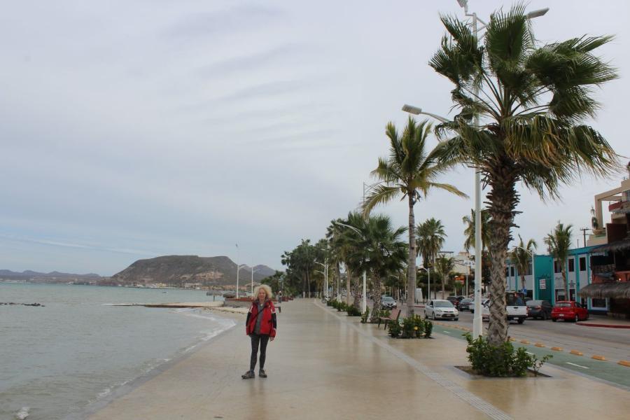 LaPaz1.JPG.c69366124a1f26afe41d587b015ea436.JPG