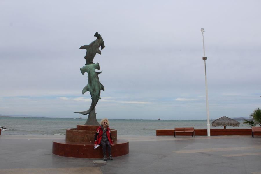 LaPaz2.JPG.556774a514a5cc7c113101a00fc7a681.JPG