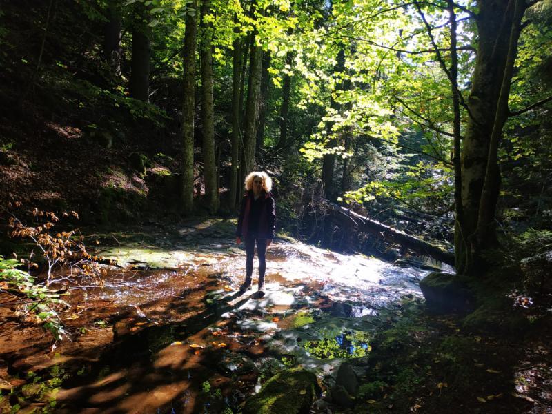 Smolyan_27.jpg.cbd527f454df15274f6ca840d21a19c7.jpg