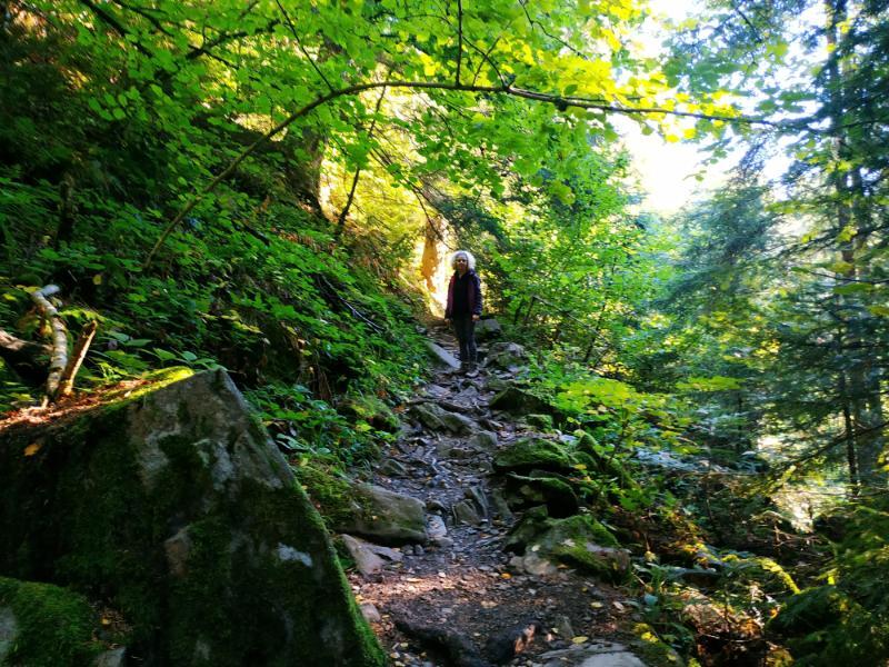 Smolyan_31.jpg.86ff9d5b08864e0dd835fe7ad4fceb92.jpg