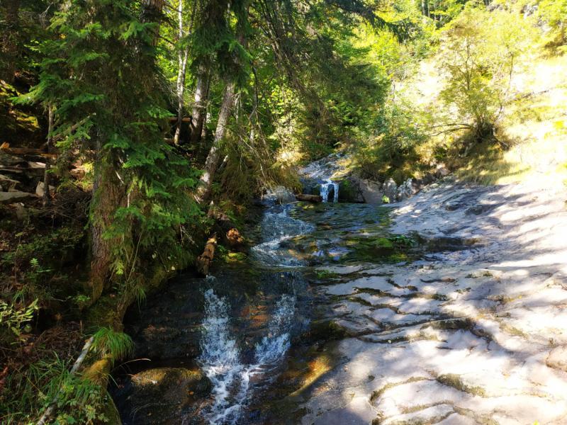 Smolyan_39.jpg.9e26a50b31f7609777555c7b860341d4.jpg