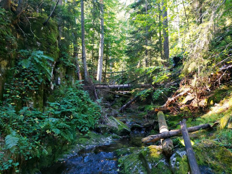 Smolyan_61.jpg.736a0308aa5479d4deb59f1bd42d250c.jpg