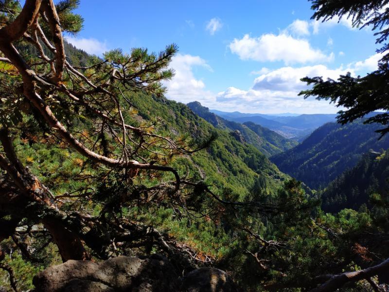 Smolyan_62.jpg.b080ee665caa96fcb598c1b7b3481d5d.jpg