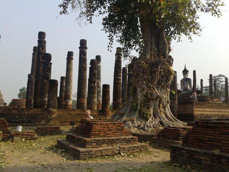 Sukhothai_81.jpg.a366d9e0c94641048ed3d633ee68a86b.jpg
