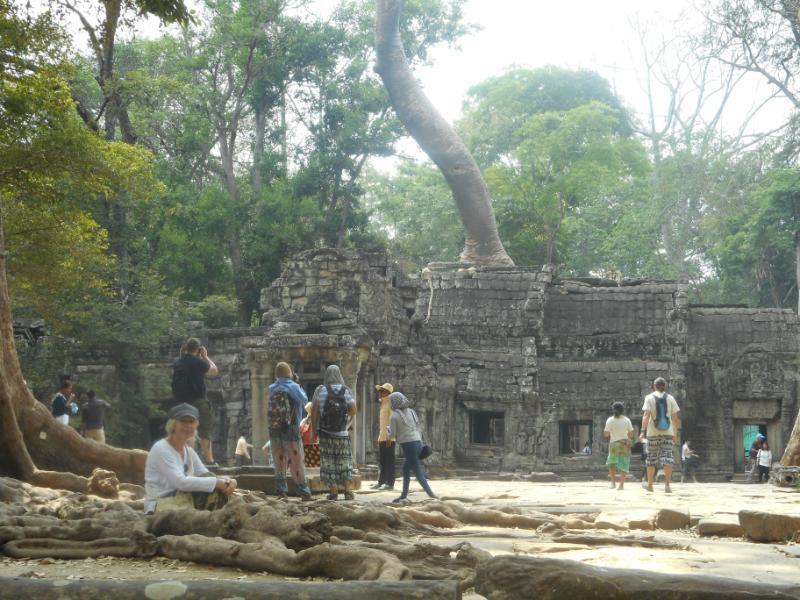 TaProhm_1.JPG.331a88064a1f741d38285e6555f8906a.JPG
