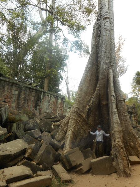 TaProhm_15.JPG.902693972794dfd60eee84f2782e5161.JPG