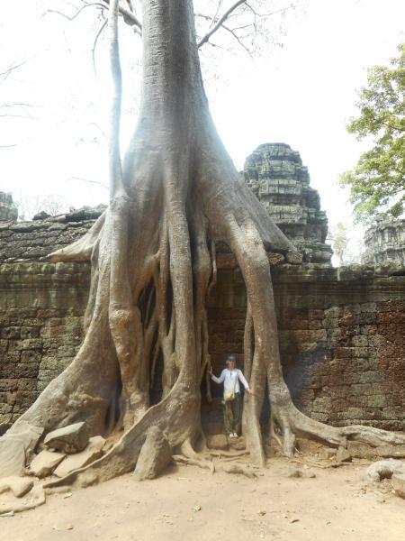 TaProhm_9.JPG.8056297f84e197b05d098030f3db438f.JPG