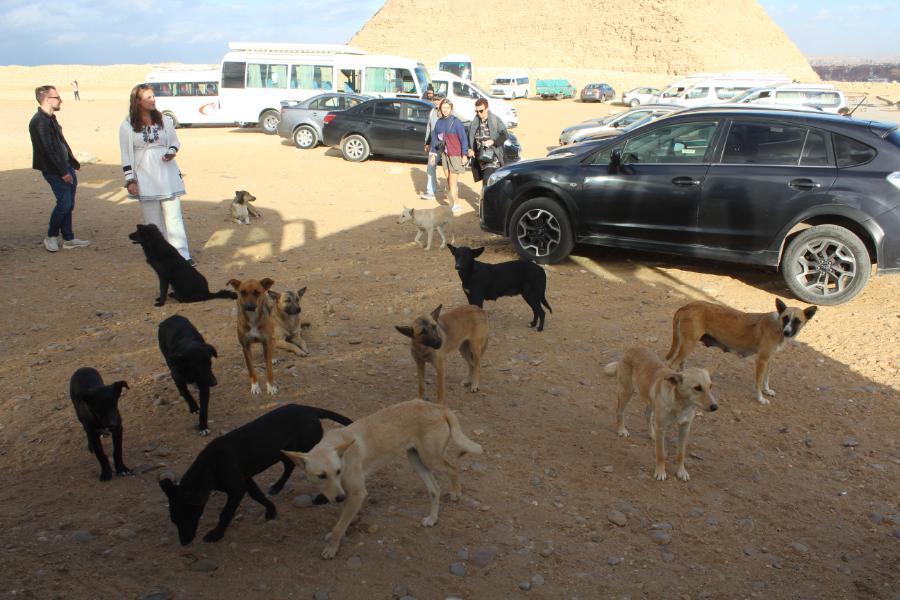 Thepyramids_46.JPG.7a553a5955b3ca4af5c00c0d05b66cf5.JPG