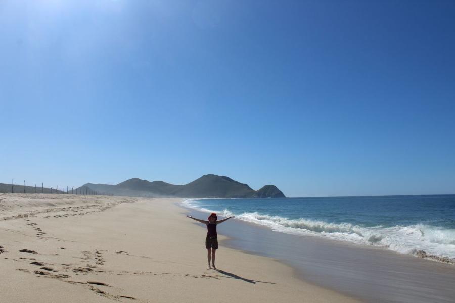 TodosSantos14.JPG.812e053fe037f12c9cb6fdc674f5617a.JPG