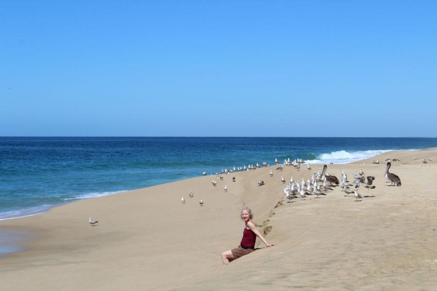 TodosSantos26.JPG.6e20b8fab911b4109e9b9e3f4217b56d.JPG