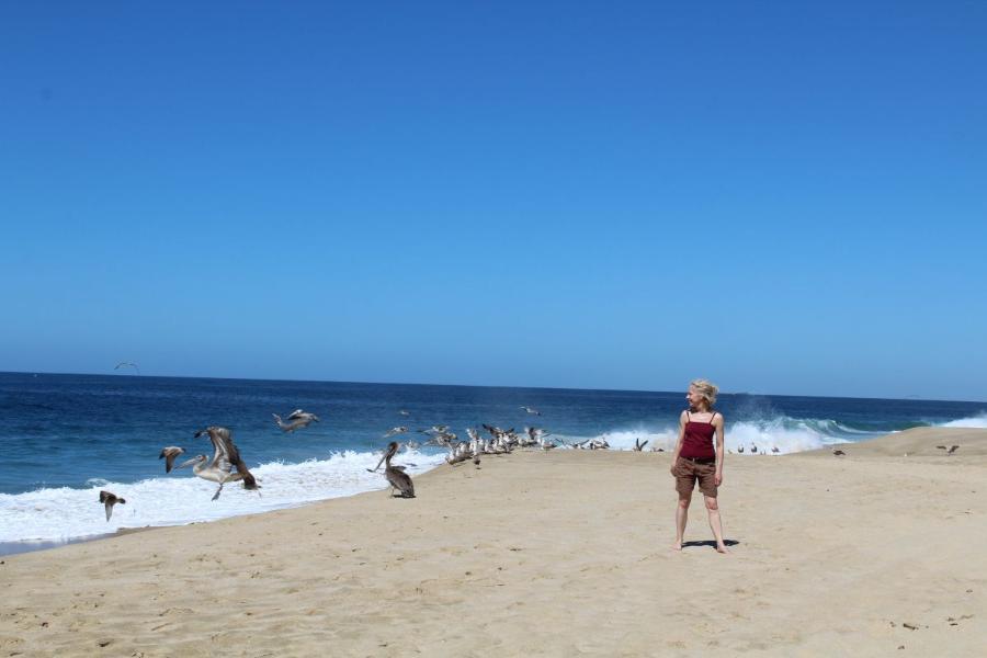 TodosSantos29.JPG.370766caac5da055a5e317d71c004f93.JPG