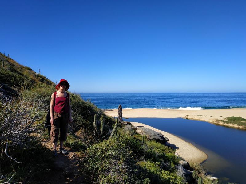 TodosSantos7.jpg.bd1f711fc6aa302f770e75534023aab4.jpg