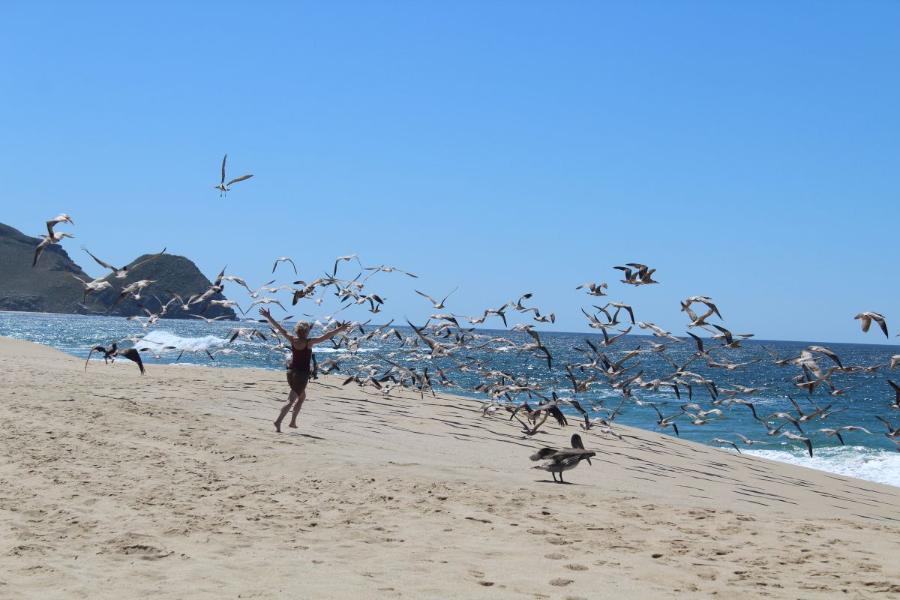 TodosSantos90.JPG.eb19eee34ffec1099af25cf627691275.JPG