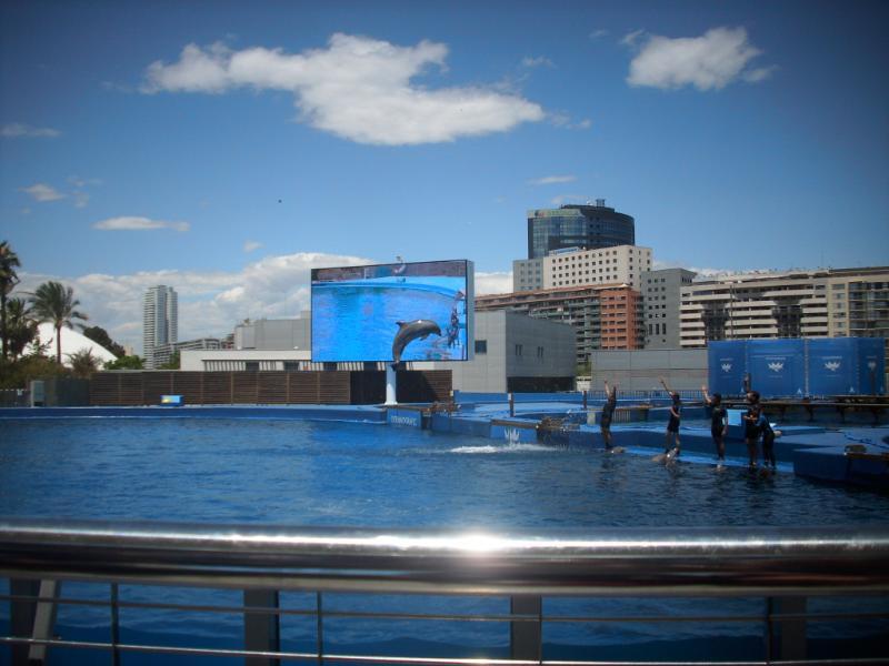 Valencia_106.JPG.7ad4653f3559f857865e170c35b4e44c.JPG