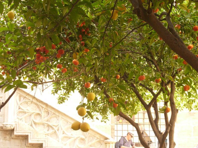 Valencia_27.JPG.29ef5e2401fe351692c6eb47be81d015.JPG
